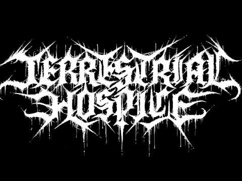 Terrestrial Hospice "Gang raping the seven virtues" (premiere video)