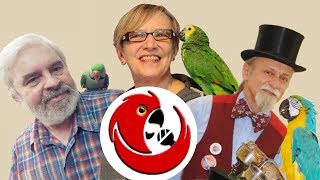 Jurors of the 3rd Talking Birds Championship of Poland Tell about their Parrots and their Refereeing