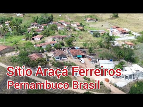 SÍTIO ARAÇA FERREIROS PERNAMBUCO BRASIL 