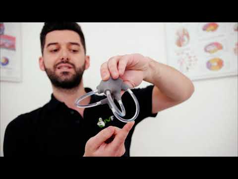 Pathologie und Therapie des Lagerungsschwindels einfach erklärt