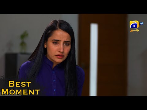 Grift Episode 80 || Ali Abbas - Saniya Shamshad || 𝐁𝐞𝐬𝐭 𝐌𝐨𝐦𝐞𝐧𝐭 𝟎𝟖 || Har Pal Geo