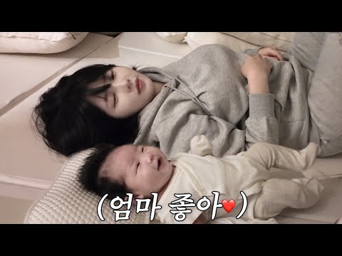 아이콘