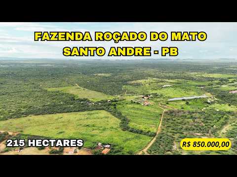🌾 FAZENDA ROÇADO DO MATO EM SANTO ANDRÉ-PB – ESTRUTURA, ÁGUA E ÁREA PRONTA PARA PRODUZIR, 215 HA🌾