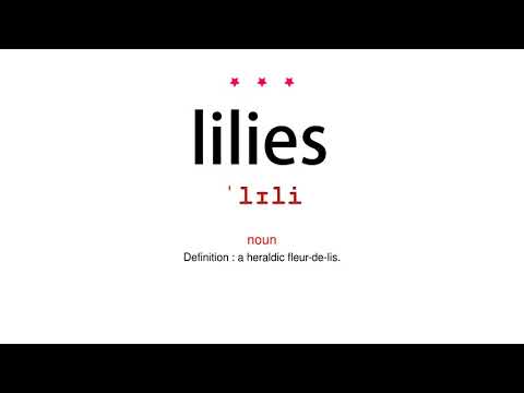 How to pronounce lilies - Vocab Today