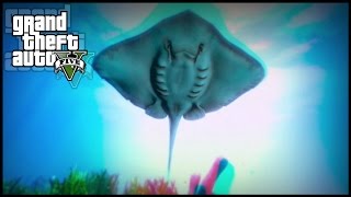 GTA 5 - TWO Peyote Plant Locations #11, #12 | "Play as Water Animals" (12/27 Peyote Plants)