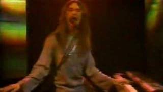 F.M. - Phasors On Stun