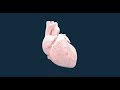 Elastic Hearts Reality Club