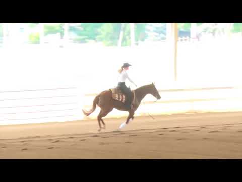 170820 Molly Wimmers on Bigtimeunbridlebingo Green