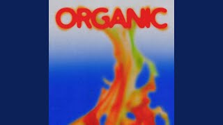 Download lagu BOLO (Feat. YDG) mp3