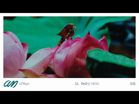 Lil Wuyn - Free And Dump (feat. VSOUL) [An album]