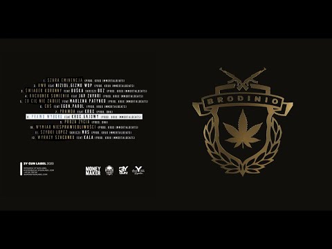 Brodinio Feat Krux Gajowy - Prawo Wyboru
