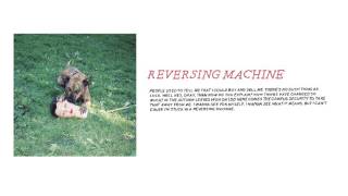 Joyce Manor - &quot;Reversing Machine&quot; (Full Album Stream)