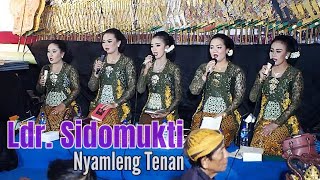 Download lagu Ladrang Sidomulyo Pl.6 Uyon-uyon Nyamleng // Ki MPP Bayu Aji, Nglaras Mat-matan. mp3