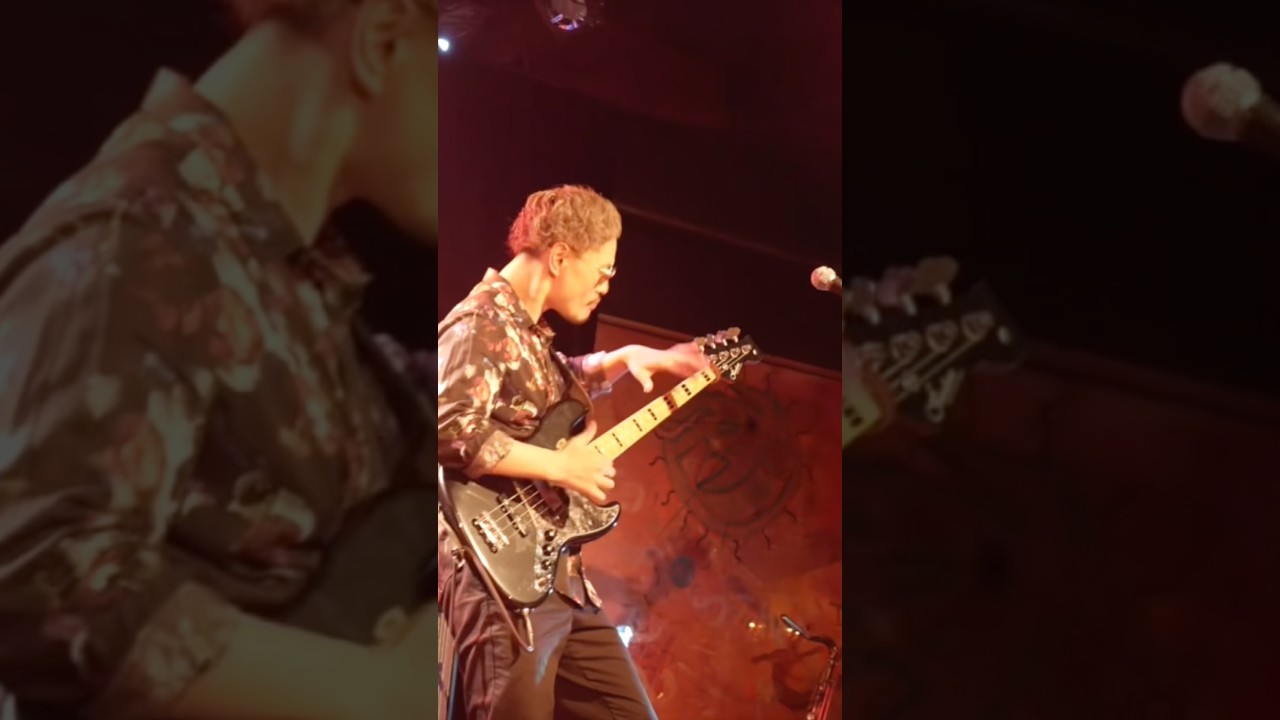 Slap bass solo #gurasanpark #shorts #bassist