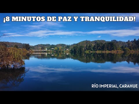 La belleza del río imperial en CARAHUE por 8 minutos | Araucanía, CHILE