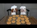 Dogs Make Peanut Butter Cookies: Funny Dogs Maymo, Potpie & Penny
