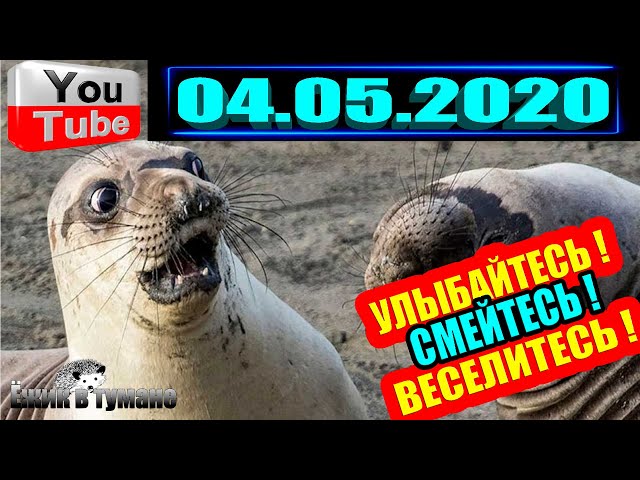 ПОДБОРКА Лучших Приколов Смешные Видео из ТИК ТОКА