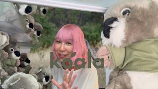 koala　完１