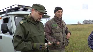 Штрафы и наказания за незаконную охоту в рф