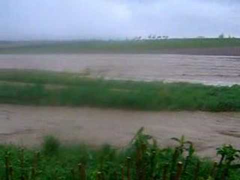 Münichsthalerbach 22.04.2008