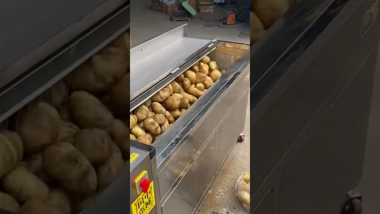 Watch video Grande machine à éplucher les pommes de terre Grande machine à éplucher les pommes de terre