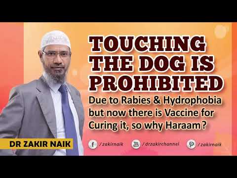 Why touching dog haram? _ Dr Zakir Naik