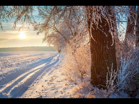 A criança que se perdeu nos campos gelados / Antonio Branco /  Capital do Conhecimento