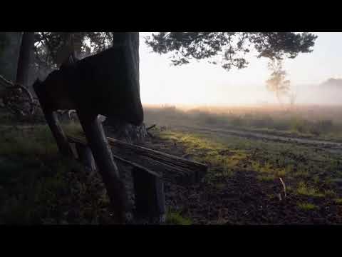 Confia en el David Inzunza