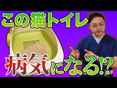 猫にとって最適なトイレとは何でしょうか?