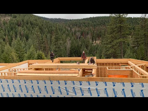 Building Our Montana Homestead Part 3 – Timber Framing Basement Walls, Backfill, Installing Subfloor
