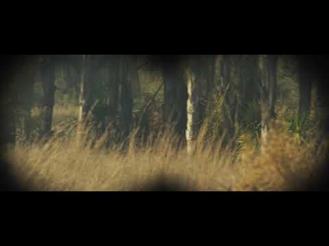 Siege Of Jadotville 2nd Battle Sniper Scene in 1080