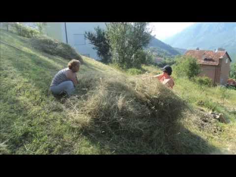 Nebregoste-kosidba-u nasem kraju