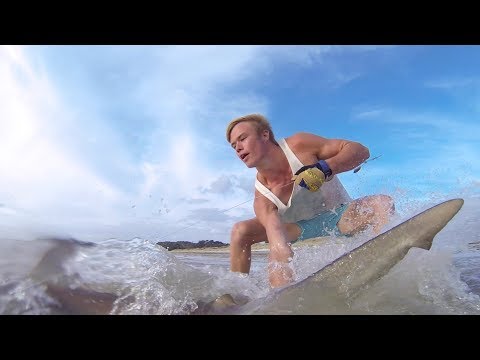 Extreme Shark fishing in Rangiputa Harbour (Season 2 Ep1)