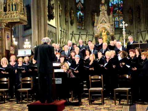 ROZ "Ivan Matetić Ronjgov" - Ave Maria (Ivan pl. Zajc)