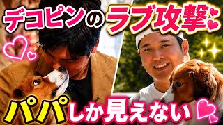 【溺愛】大谷翔平パパが大好きなデコピンの全力ラブアタック！