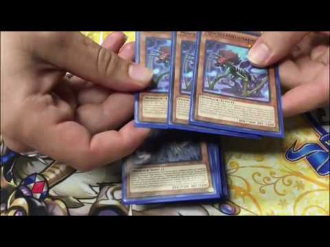 Salem, Oregon regional 12th place Dinosaur deck profile