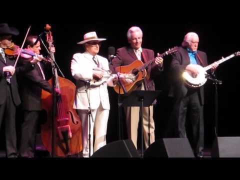 Masters of Bluegrass - Pain in My Heart