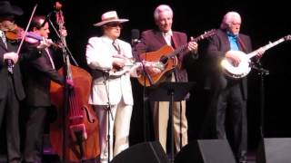 Masters of Bluegrass - Pain in My Heart