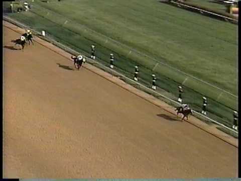 Arazi - 1991 Breeders Cup Juvenile (NBC)
