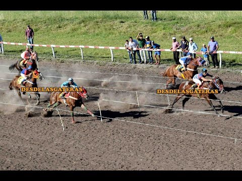 KORONO RYON RDA, Potro del Futuro H. Rincon del Aguará y Los Monteros, C. Cuatiá, Ctes. 02.12.18