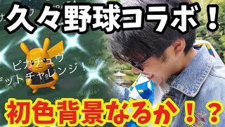 色違い背景ピカチュウを未だ持たぬ男の秘技炸裂【ポケモンGO】