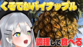 今夜、僕が頂くのはくそでかパイナップルです【 #実写配信 / #山黒音玄 】