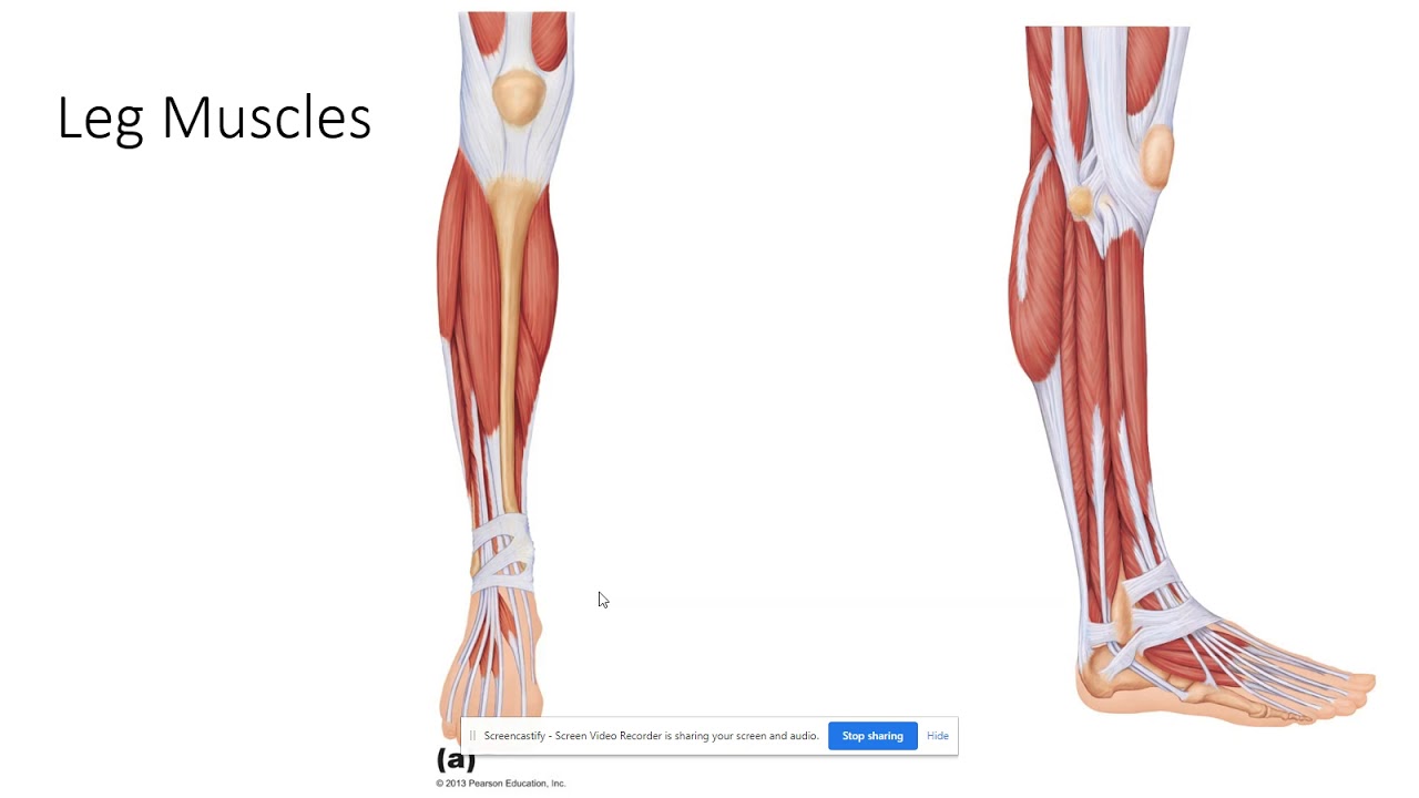Lab Quiz 3 Update 11/3