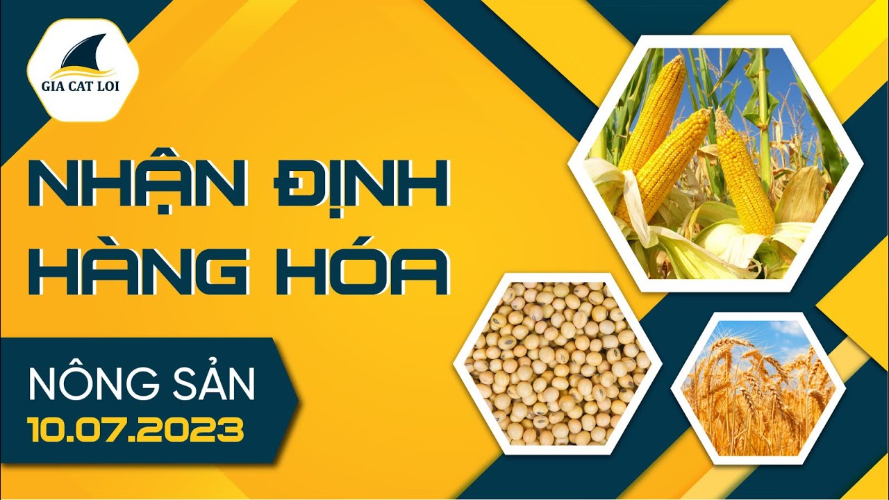 Nhận Định Thị Trường Nông Sản Ngày 10/07/2023
