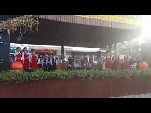 Ansamblul Junii Gugulani dans sarbesc . Toamna la Gugulani