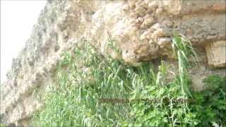 ROMA ANTİK TAPINAĞI (Donuktaş) Tarsus / MERSİN