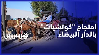 أصحاب الكوتشيات يحتجون على منعهم من شوارع البيضاء ويطالبون بحلول بديلة thumbnail