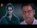 Ganesh Telugu Movie Scenes Venkatesh Kota Srinivasa Rao Telugu Movies SP Movies Scenes