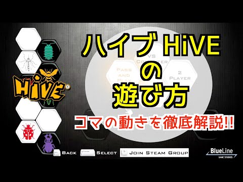 ハイブ ルール説明