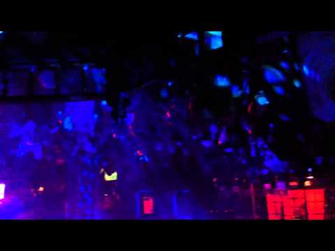 DJ MAALEEK - WALLET GREEN LET ME SEE SOMETHING